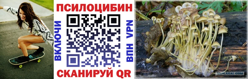 Псилоцибиновые грибы мицелий  Абакан 